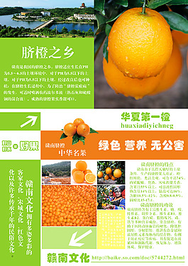 水果 赣南脐橙 宣传单 海报 排版 设计
