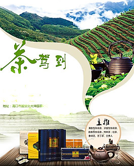 茶駕到
