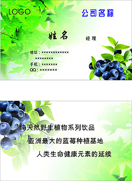 矢量名片