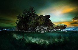 綠色海龜