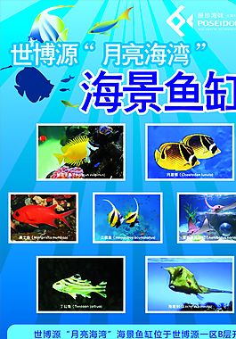 珊珍海味海景魚缸海報圖片
