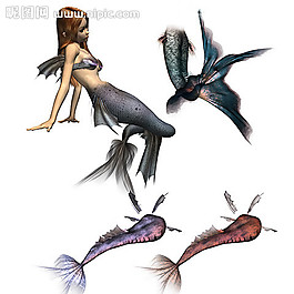 人魚(yú)尾巴圖片