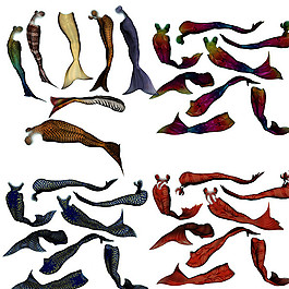 人魚(yú)尾巴圖片