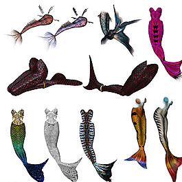 人魚(yú)尾巴圖片