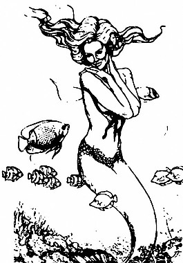 美人魚(yú)圖片