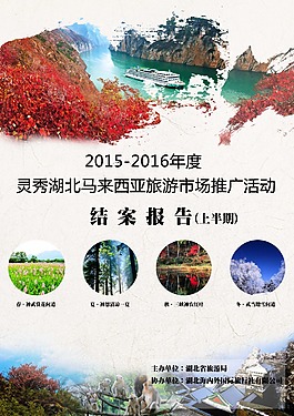 结案报告