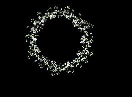 白色小花花環(huán)花圈