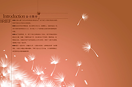 橘紅色公司簡介圖片
