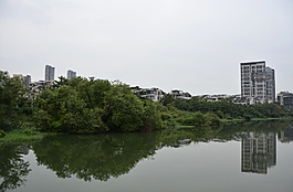 湿地公园高楼倒影图片