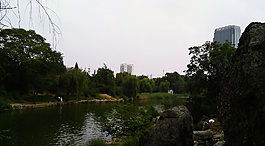 公园闲游图片
