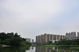 湿地公园高楼倒影图片