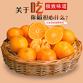 橘子主圖