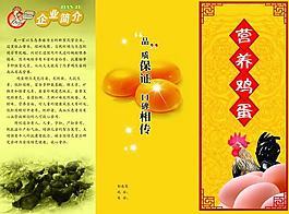 營(yíng)養(yǎng)雞蛋三折頁(yè)