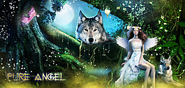夢幻森林