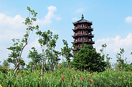 華陽湖濕地公園圖片
