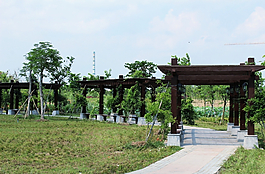 東莞華陽湖濕地公園圖片