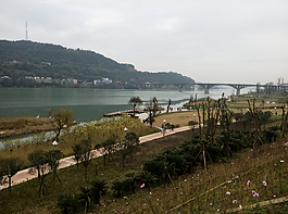 俯视湿地公园图片