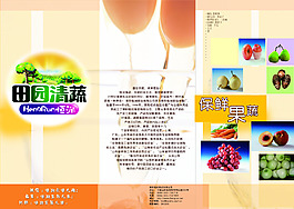 農(nóng)業(yè)海報(bào)   PSD源文件