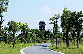 東莞華陽湖濕地公園圖片