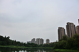 湿地公园边的高楼群图片