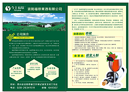 桑葚酒宣傳單圖片