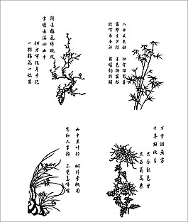 茶幾花