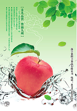 非凡品質 譽滿九州