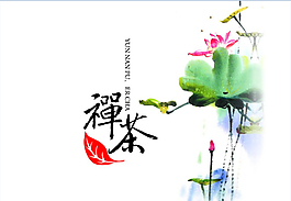 禪茶一味普洱茶