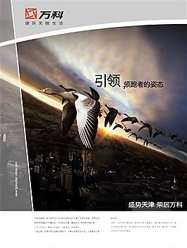 万科 天津 房地产 CDR