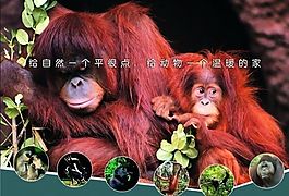 極樂野生動物園報紙廣告