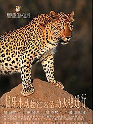 極樂野生動物園報紙廣告