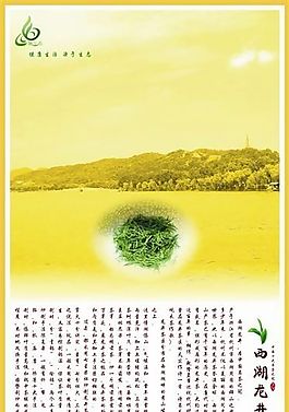 龙井简介招贴矢量模板