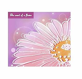 矢量花朵 EPS_10