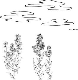 日本矢量花草 矢量EPS 40_Nanohana-batake