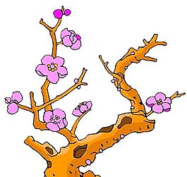 樹木古典插畫