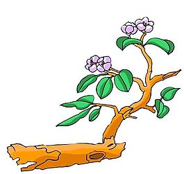 樹(shù)木古典插畫(huà)