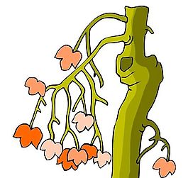 樹(shù)木古典插畫(huà)