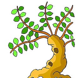 樹木古典插畫