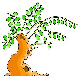 樹木古典插畫