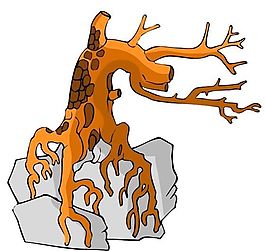樹木古典插畫