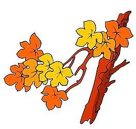樹木古典插畫