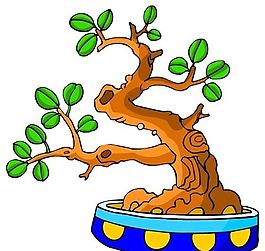 樹(shù)木古典插畫(huà)