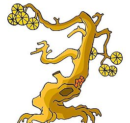 樹木古典插畫