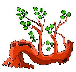 樹木古典插畫