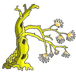 樹(shù)木古典插畫(huà)