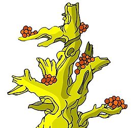 樹木古典插畫