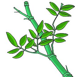 樹木古典插畫