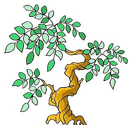 樹木古典插畫