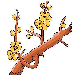樹木古典插畫