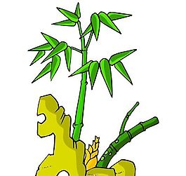 樹(shù)木古典插畫(huà)